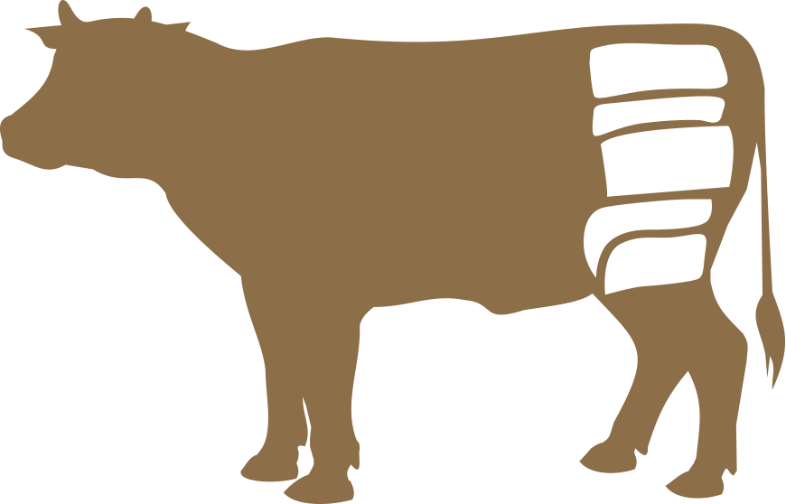 Beşli Set Beşli Set