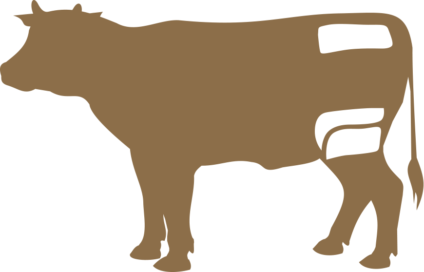 Üçlü Set Üçlü Set